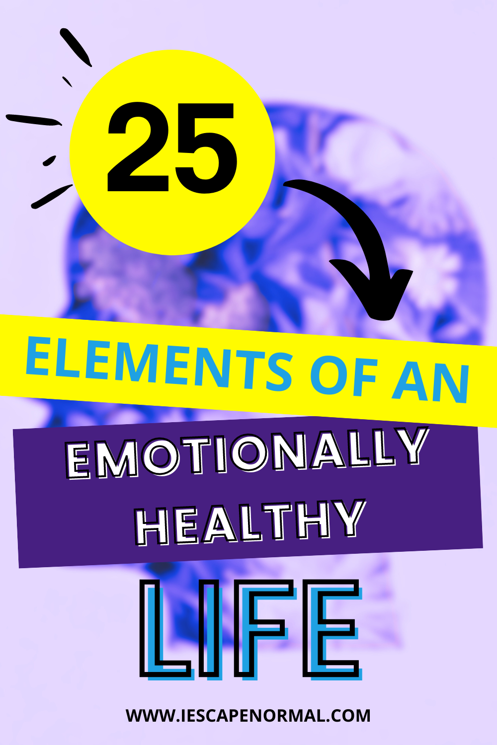 elements of emotionally healthy life