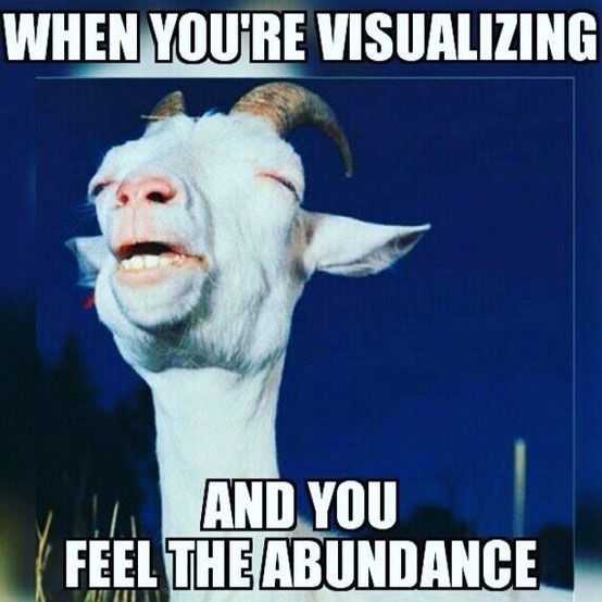 visualize abundance