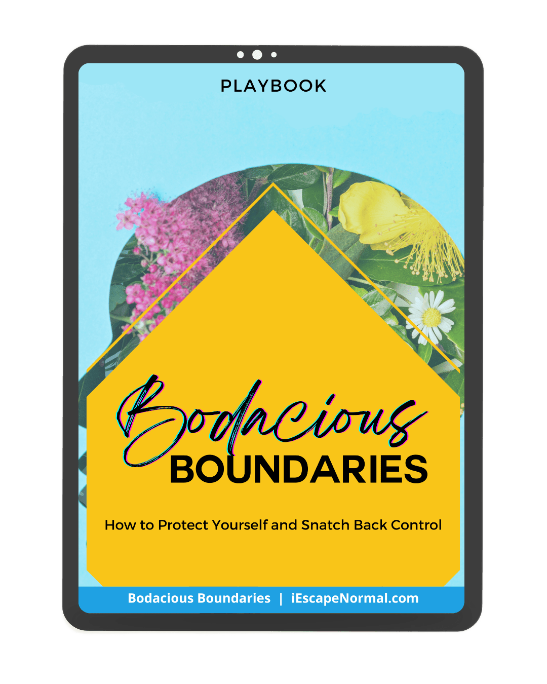 Bodacious Boundaries iPad Cover